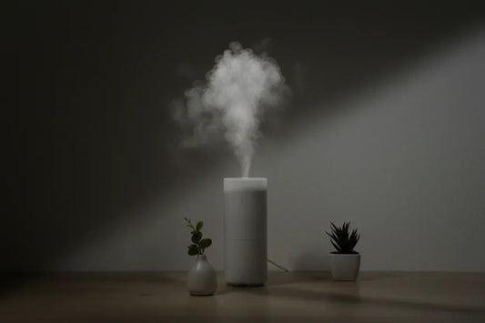 Small Desk Humidifier 500ml - Quiet with Night Light for Home Office - Home Decoration Plus