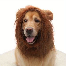 Adjustable Lion Wig with Ears for Dogs - Cute and Fun Mane Costume for Your Pet (Color: coffee, size: L)